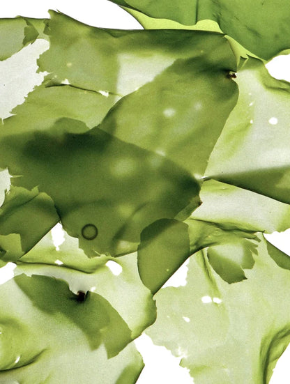 Masque Purifiant à l'Argile