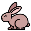 Cruelty Free